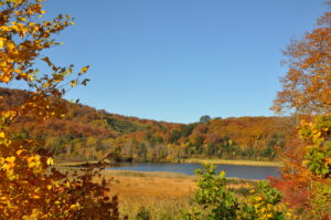 大沼紅葉情報（10/17）