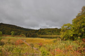 大沼紅葉情報（10/5）