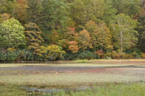 10月19日（土）開催「長沼　紅葉トレッキング」の下見に行ってきました。