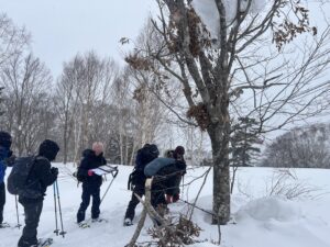 クマの森での暮らしを体感【予約型スノートレッキング（スキーハイク）】「冬の森でツキノワグマの痕跡探しツアー」