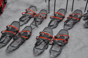 12月22日（日）「後生掛・大湯沼へ行ってみよう」を開催しました。