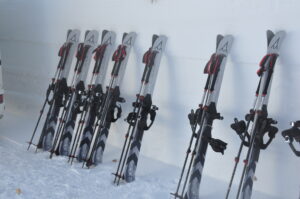 １月１９日（日）「大沼外輪スキーハイキング」を開催しました。