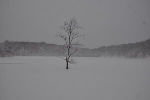 1月19日開催「大沼外輪スキーハイキング」の下見に行ってきました。