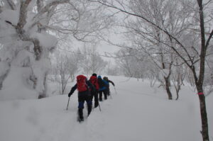 ２月２３日開催「八幡平樹氷トレッキング」の下見に行ってきました。
