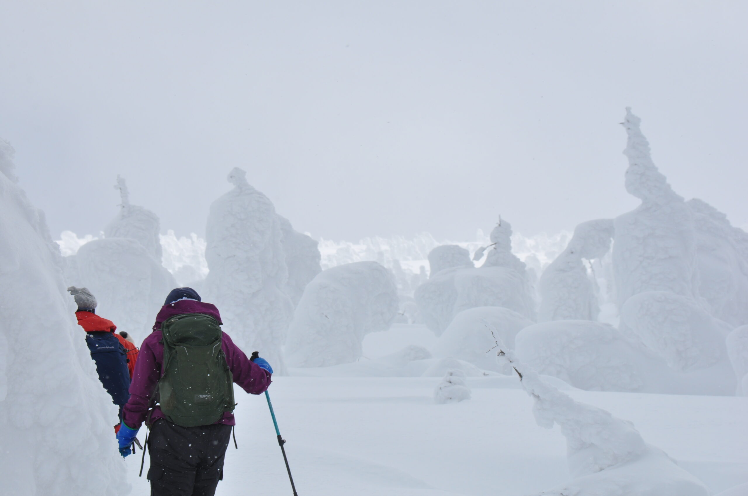 2月23日（日）「八幡平樹氷トレッキング」を開催しました