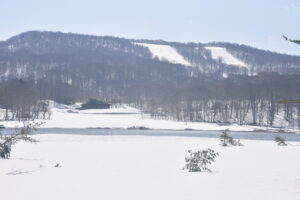 大沼＆山頂自然情報