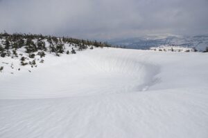 4/12　まだ雪のくぼ地