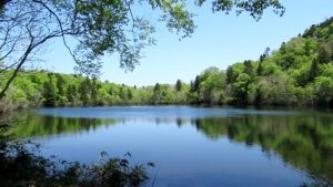 【自然情報】5月３０日　大沼自然探勝路、後生掛自然研究路、長沼