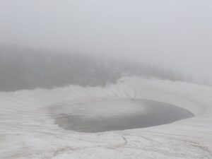 5/11　雨で水面広がる