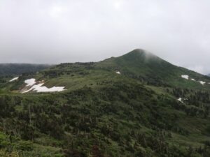 【自然情報】6月26日　畚岳に行ってきました