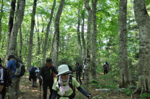 6月7日（土）「長沼　新緑トレッキング」を開催しました。