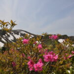 6月15日（日）開催「秋田焼山トレッキング」の下見に行ってきました。