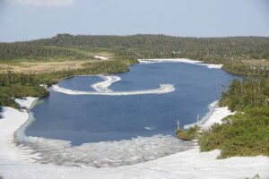 【自然情報】6月7日　八幡沼～山頂周回