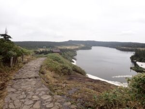 【自然情報】6月14日　山頂～八幡沼周回
