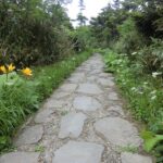 【自然情報】７月12日　山頂～八幡沼周回