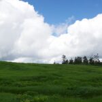 【自然情報】７月20日　八幡沼～山頂周回