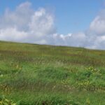 【自然情報】８月15日　八幡平山頂～八幡沼