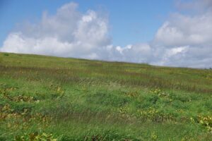 【自然情報】８月15日　八幡平山頂～八幡沼