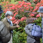 【予約不要】9月＆10月各2回開催「国立公園ガイドウォーク」