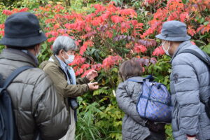 【予約不要】9月＆10月各2回開催「国立公園ガイドウォーク」