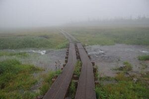 【自然情報】9月2日　八幡平山頂～八幡沼