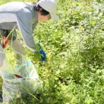 「快適サイクリング＆外来種駆除大作戦」を開催しました。