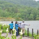 ①湿原の四季をめぐる「大沼自然探勝路をひとまわり」