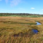 【自然情報】9月14日　八幡平山頂～八幡沼