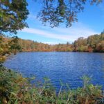 【自然情報】10月12日　大沼自然探勝路、長沼