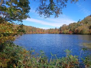 【自然情報】10月12日　大沼自然探勝路、長沼