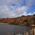 【自然情報】10月27日　大沼自然探勝路、VC周辺