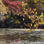 10月19日（日）開催「長沼　黄葉のブナ林トレッキング」の下見に行ってきました。