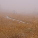 【自然情報】10月5日　八幡平山頂～八幡沼