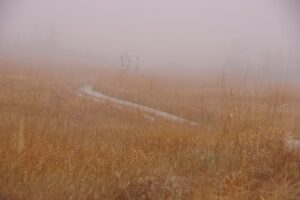 【自然情報】10月5日　八幡平山頂～八幡沼