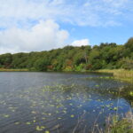 【自然情報】10月6日　大沼自然探勝路、大場谷地湿原