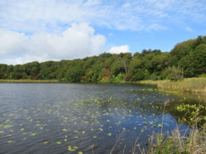 【自然情報】10月6日　大沼自然探勝路、大場谷地湿原