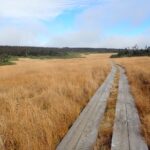 【自然情報】10月13日　八幡平山頂～八幡沼