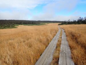 【自然情報】10月13日　八幡平山頂～八幡沼