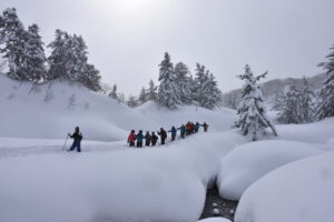 １月２５日（日）「後生掛・大泥火山スノーハイキング」を開催しました。
