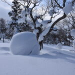 ２月１５日（日）「山毛森　白銀スキーハイキング」を開催しました。