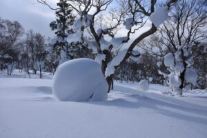 ２月１５日（日）「山毛森　白銀スキーハイキング」を開催しました。