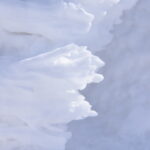 ２月２２日（日）「八幡平樹氷トレッキング」を開催しました。