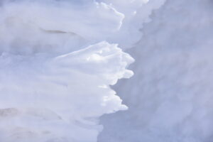 ２月２２日（日）「八幡平樹氷トレッキング」を開催しました。