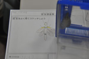 ７月19日（日）「八幡平昆虫調査隊～ブナ林に住む虫たちを調べよう！」【１回目】
