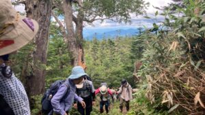 【登山経験者/健脚者対象】8月1日（土）「八幡平古道トレッキング」