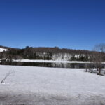 【自然情報】4月19日　大沼自然探勝路、ビジターセンター周辺