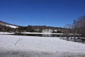 【自然情報】4月19日　大沼自然探勝路、ビジターセンター周辺