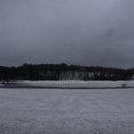 【自然情報】4月11日　大沼自然探勝路、VC周辺