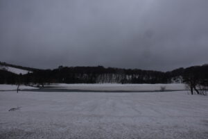 【自然情報】4月11日　大沼自然探勝路、VC周辺