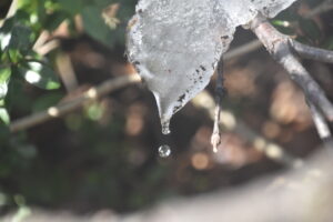 本日の天気　大沼（4/17)
